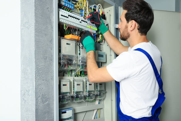 Best Electric Panel Repair  in Cresson, TX